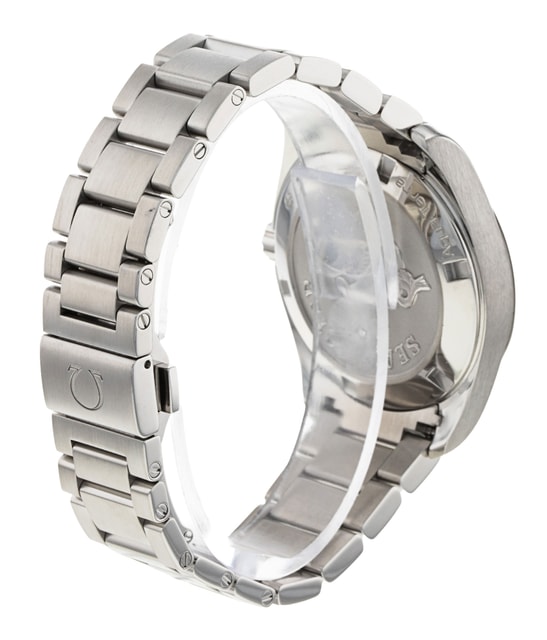 Omega Aqua Terra 150m Gents 231.10.39.60.02.001 Image 3